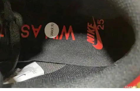 SB Low Nike Dunk 25th years 309242-307 0621